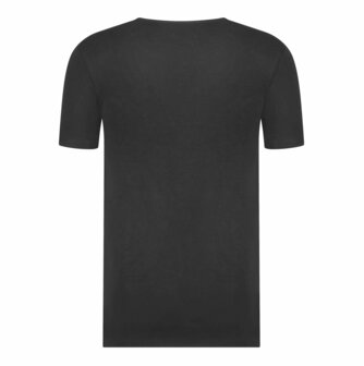 BEEREN GREEN COMFORT M181 HEREN T-SHIRT V-HALS ZWART