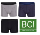 6-Pack Heren boxershorts C.F. Hugo Assorti